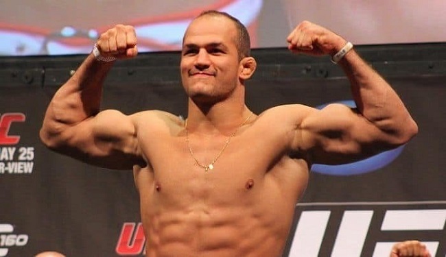 Junior Dos Santos net worth